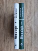 Gheorghe Mastacan, Iulia Mastacan - Mineralogie (2 volume)