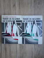 Ioan Purdea, Gheorghe Pic - Tratat de algebra moderna (2 volume)