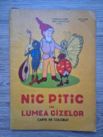 Nic pitic in lumea gizelor. Carte de colorat
