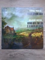 Orchestra simfonica a Radioteleviziunii Romane, Mihai Brediceanu - Cantecele unui ucenic calator (Gustav Mahler, Benjamin Britten)