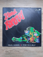 Pavol Hammel, Prudy - A rose in a jelly