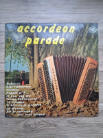 The Madrinas - Accordeon parade