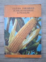 Cultuira porumbului pe solurile podzolice si podzolite