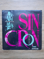 Formatia Sincron, Cornel Fugaru - Formatia Sincron