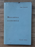 Luigi Amoroso - Meccanica economica