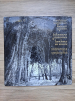 Sofia State Philharmonic Orchestra, Konstantin Iliev - Symphony no. 1 in C minor, op. 68 (Johannes Brahms)