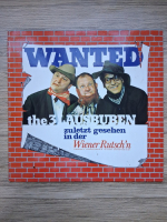 The 3 Lausbuben, Vanessa - Wanted