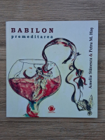 Amelia Stanescu, Petru M. Has - Babilon. Premeditarea