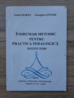 Andrei Barna, Georgeta Antohe - Indrumar metodic pentru practica pedagogica. Institutori