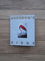 Audubon's birds