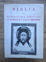 Biblia adica Dumnezeiasca Scriptura a Vechiului si a Noului Testament (1990, uzata)
