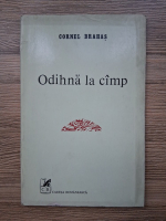 Cornel Brahas - Odihna la cimp