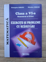 Georgeta Ghiciu, Niculae Ghiciu - Matematica, clasa a VI-a, semestrul al II-lea