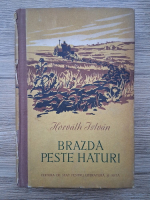 Horvath Istvan - Brazda peste haturi