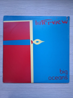 Interview - Big Oceans