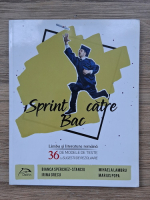 Irina Grecu, Mihaela Lambru - Sprint catre Bac. Limba si literatura romana 