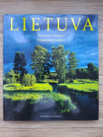 Marcelijus Martinaitis - Lietuva
