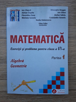 Matematica. Exercitii si probleme pentru clasa a VI-a
