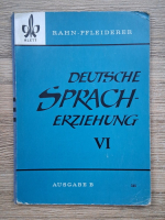 Rahn Pfleiderer - Deutsche spracherziehung (volumul 6)