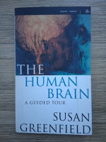 Susan Greenfield - The human brain. A guided tour