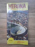 Verona. 137 illustrazioni a colori