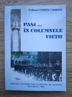 Viorel Ciobanu - Pasi...in columnele vietii