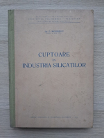 D. Becherecu - Cuptoare in industria silicatilor