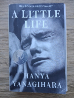 Hanya Yanagihara - A little life