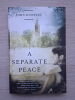 John Knowles - A separate peace