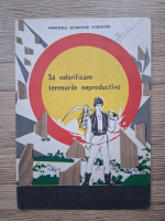 Sa valorificam terenurile neproductive
