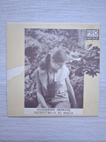 Alexandru Andries - Asteptand-o pe Maria. Pete albe
