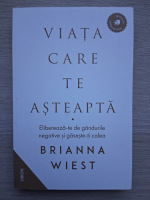 Brianna Wiest - Viata care te asteapta. Elibereaza-te de gandurile negative si gaseste-ti calea