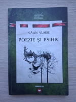 Calin Vlasie - Poezie si psihic