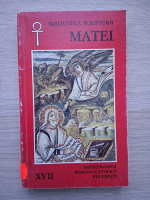 Evanghelie dupa Matei (1996)