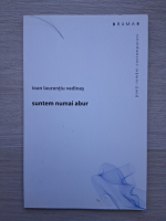 Ioan Laurentiu Vedinas - Suntem numai abur