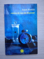 Ionel Pintilii - Camera de raze ale diminetii