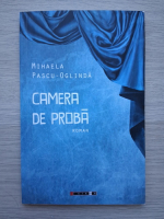 Mihaela Pascu Oglinda - Camera de proba
