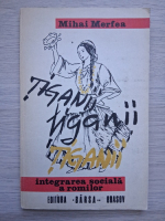 Mihai Merfea - Tiganii. Integrarea sociala a romilor