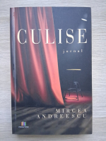 Mircea Andreescu - Culise
