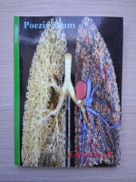 Poezia acum