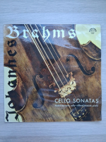 Andre Navarra, Alfred Holecek - Cello sonatas (Johannes Brahms)