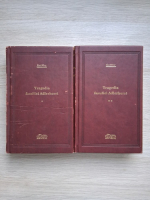 Karl May - Tragedia familiei Adlerhorst (2 volume, uzate, Adevarul de Lux)