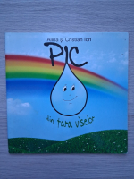 Alina Ion, Cristian Ion - Pic din Tara Viselor. Auxiliar didactic