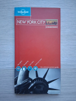 Dani Valent - New York City. Condensed