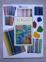 Hazel Harrison - Le Pastel. Guide pratique. Toutes les techinques pour reussir