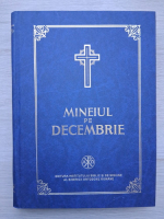 Mineiul pe decembrie (2005)
