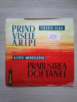Orchestra simfonica a Radioteleviziunii Romane - Prind visele aripi. Prabusirea Doftanei (Tiberiu Olah, Alfred Mendelsohn)