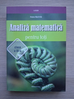 Petre Nachila - Analiza matematica pentru toti. Clasa a XI-a