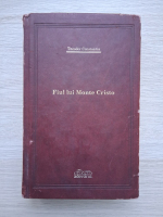 Theodor Constantin - Fiul lui Monte Cristo (uzata, Adevarul de Lux)