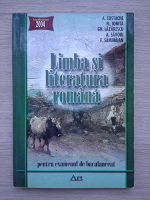 Adrian Costache, Florin Ionita - Limba si literatura romana pentru examenul de bacalaureat